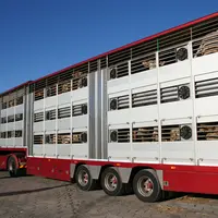 camion transport longue durée bovins