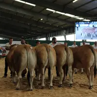 prix d'avenir concours national parthenaise 2019