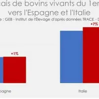 graphique institut élevegae conjoncture covid-19