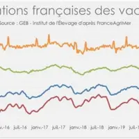 graph cotations vaches avril 2020