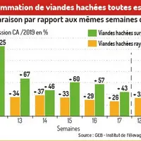 graph consommation de viande hachée pendant le confinement