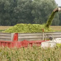 advanta ensilage maïs