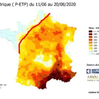 Le bilan hydrique donne un premier aperçu de la localisation tant quantitative que qualitative des meilleurs ensilages.