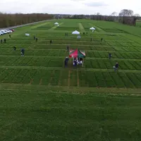 sélection prairie multi-espèces