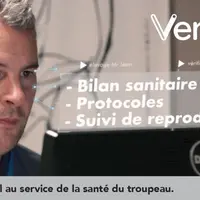 MSD Venotis