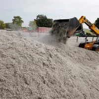 silo pulpe betterave surpressée