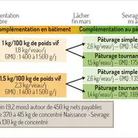 ferme expérimentale Jalogny broutards pâturage