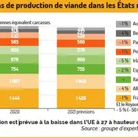 graph production viande bovine europe 2021 par pays