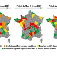 Zoetis cartographie épidémiologique virus respiratoire syncytial bovin