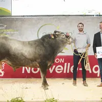 concours race Bazadaise Aquitanima Bordeaux