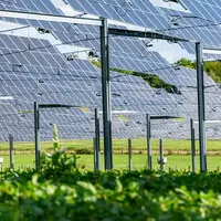 agrivoltaïsme TSE