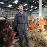 éleveur de vaches limousines dans le Finistère