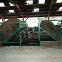 Ces râteliers prototypes réalisés sur mesure par une
entreprise locale de Creuse. Ils permettent à cinq vaches de manger côte à côte.