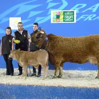 Champion femelle : Frezade à Jean-Marie Vidalenc (Cantal)