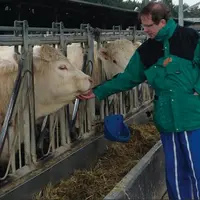 Xavier Boivin, éthologiste à l'Inra de Theix. Les vaches aiment particulièrement les caresses sous le cou. Lorsqu'elles apprécient, elles tendent le c