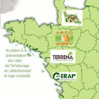 Ter'elevage est une union de coopératives et constitue une des principales organisations de producteurs de bovins en France.
