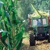 Les résultats des essais aident à choisir les variétés sur des critères agronomiques.