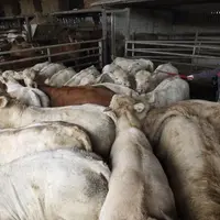 Le niveau de formation des agriculteurs augmente : d’ici dix ans, la moitié des jeunes installés auront un niveau de formation au moins équivalent à c