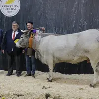 Gazette (du père Diamant), appartenant à Patrick Respaud (Ariège), a également fini première de la section des vaches non suitées. Sa belle tête, ses