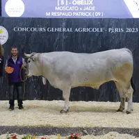 Obélix (Moscato x Jade), issu de l'élevage de Patrick Respaud dans l'Ariège finit à la cinquième place.