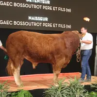 Challenge de l’espérance mâle : Neruda au Gaec Bossoutrot Père et fils (Corrèze)  © F. d'Alteroche