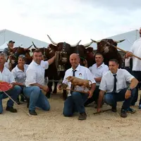 Premier prix d'ensemble : Gaec du Buisson (famille Brugière) à Chastreix (Puy de Dôme) © Anthony Raymond