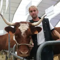 Nicolas Verdier, 30 Limousines et 20 Ferrandaises, Bourg-Lastic, Puy-de-Dôme © C. Delisle