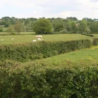 Le très bon chiffre de 3,4 hectares de biodiversité entretenus sur l’exploitation est d’abord lié à l’importance des haies et des prés situés en bordu