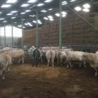 Simon Dumontet, ferme de la Cueillerie, Saône-et-Loire © Ferme de la Cueillerie