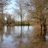 Mi-février, le gué était impraticable. Le 10 mars, 105 hectares de pré étaient inondés et la mise à l'herbe impossible. © S. Bourgeois
