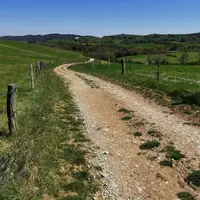 Tous les champs ont un accès quasi direct au parc de contention. © Ferme de Fajac
