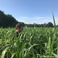 Antoine et Pascal Perrin ont apprécié que cette plante valorise très bien l’eau tombée. © C. Sudraud/SAS Scanner