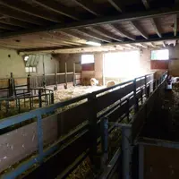 Les cases d'agnelage ont été fabriquées par les éleveurs.  © M. Miquel