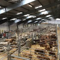 Le bâtiment de la Sepab permet de faire le tampon entre l’arrivée des animaux et leur chargement sur le bateau dans des conditions confortables. A Tar