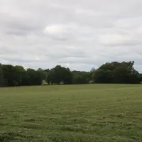 "Le label haie offre une parade aux mauvaises pratiques en rendant lisible notre démarche qualité. Pour la SCIC Mayenne bois énergie, 37 exploitation