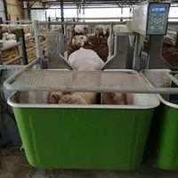Les mesures d’ingestion peuvent être faites avec des rations complètes à base d’ensilage distribuées dans des auges peseuses ou avec un aliment conden