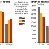 Le nombre de petits cheptels ne cesse de diminuer mais la progression des unités de grande dimension tend à se stabiliser.