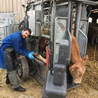 Ioan-Emmanuel Dod, pédicure bovin au sein d’un cabinet vétérinaire de la Somme © C. Guibier