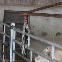 Le fait de l’enfiler sur les deux fourches du lève-palette n’est pas bien compliqué mais c’est un outil qu’il convient de bien avoir en main et d’util