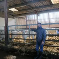 Laurent Poirier, naisseur engraisseur de Charolaises. « Je ne vois pas le blocage des veaux comme une contrainte mais plutôt comme l’opportunité de fa