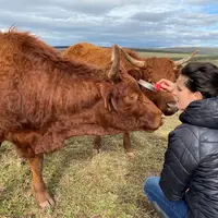 Pauline Garcia élève 130 Salers dans le Cantal. Elle propose des formations et des conseils sur le terrain ou en ligne (conseils à l’heure). © Etho-di