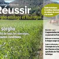 © Semences de Provence