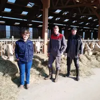 Christine Hautreux, système naisseur engraisseur de 180 mères, 3 UTH à la Flèche dans la Sarthe. © La Ferme des Courbes