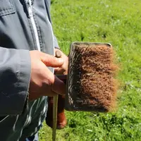 Lorsque il fait le tour de ses lots, Matthieu a toujours en main sa carde qui permet en grattouillant les vaches comme les veaux de les familiariser a