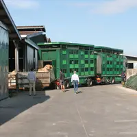 Déchargement de broutards français dans un atelier italien - En Italie, la conjoncture actuelle est favorable avec des niveaux de prix nettement plus