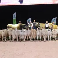 La qualité du croisement charolais x aubrac sera également mise en avant à l'occasion de ce concours.