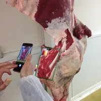 Le projet Meat@ppli consiste à développer une application smartphone pour déterminer la teneur en gras de la viande bovine en temps réel.