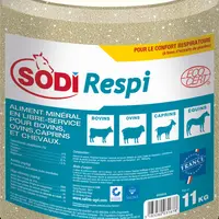 Salins : Sodirespi, pierre à lécher enrichie en extraits de plantes et en huiles essentielles pour le confort respiratoire
