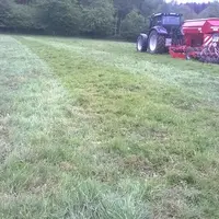« Du sursemis direct dans les prairies pour parer aux dégâts des sangliers »