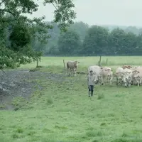 Frédéric Soulard. « Notre objectif est de se passer quand c’est possible du labour, pour des raisons  agronomiques et dans la mesure où cela ne compro